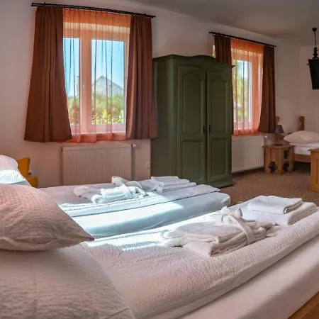 Vezer Panzio 3*
