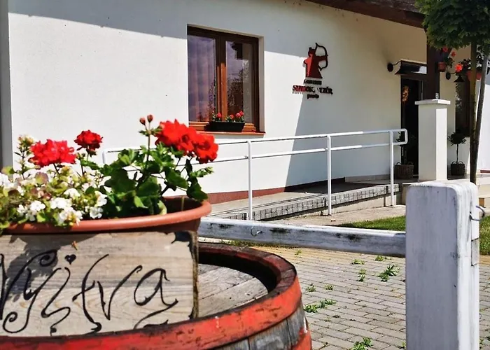 Vezer Panzio B&B 3*